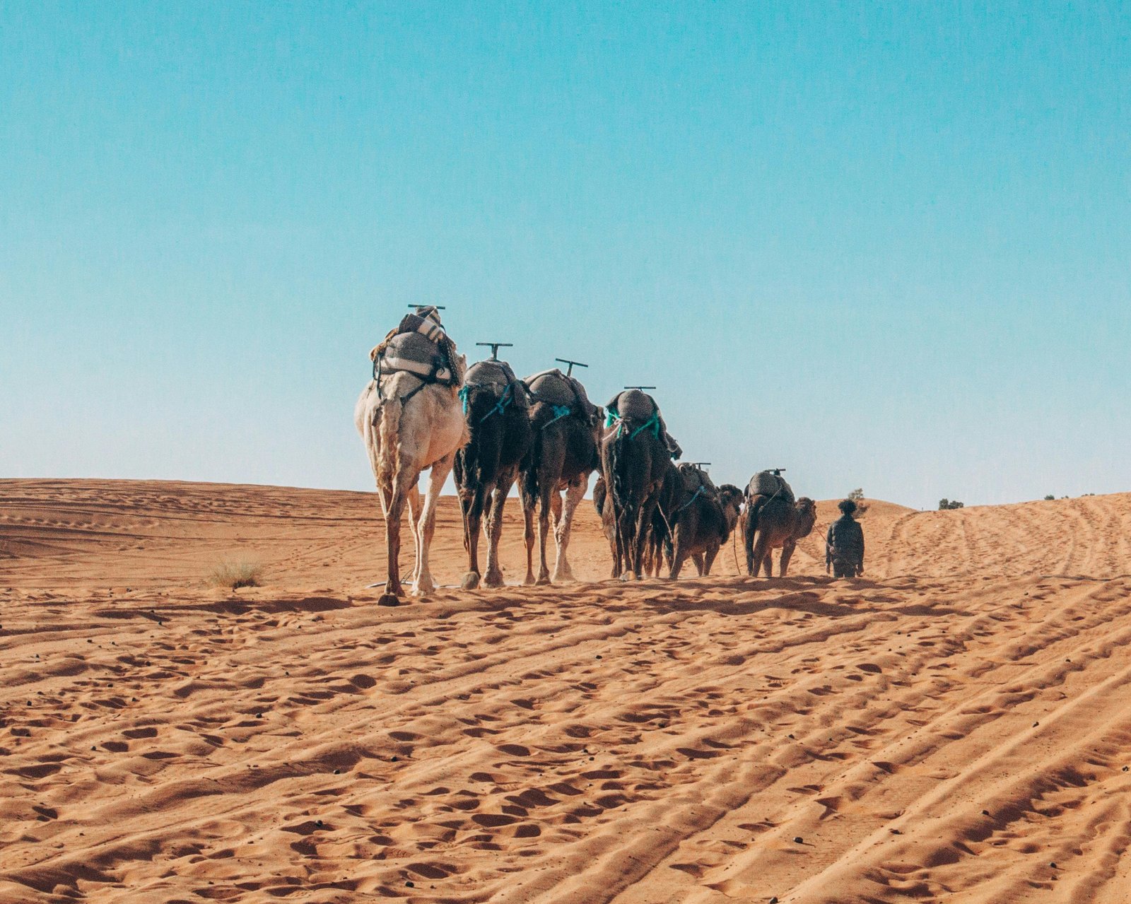 🏜️ Excursion à la Dune de Sable Doré 🏜️